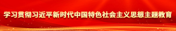 扣逼啊啊学习贯彻习近平新时代中国特色社会主义思想主题教育